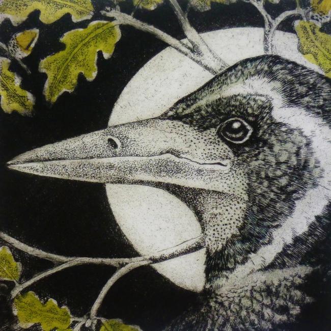 Rook