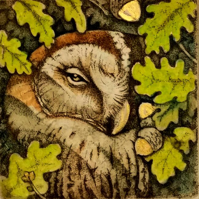 Owl and Acorn