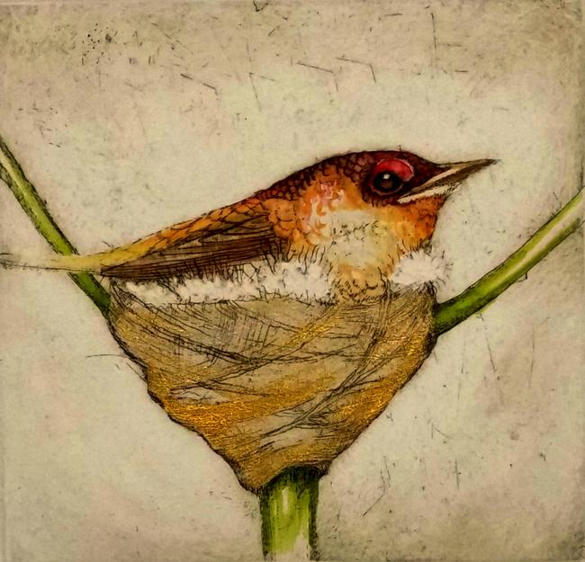 Nest
