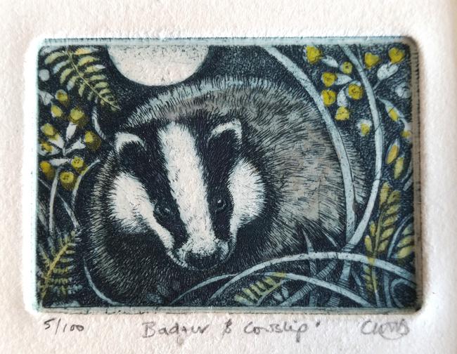 close up of 'Badger and Cowslips'