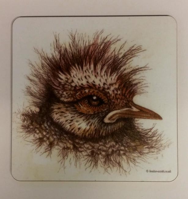 Chick