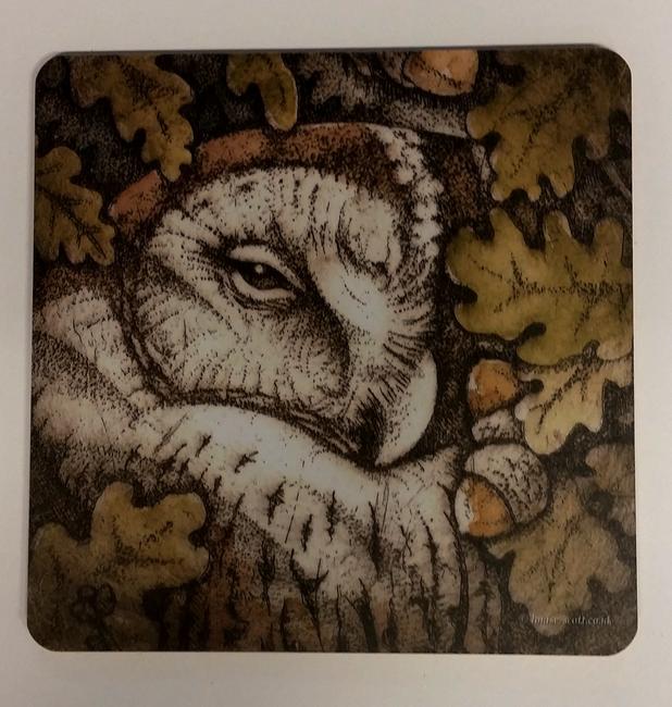 Owl and Acorns