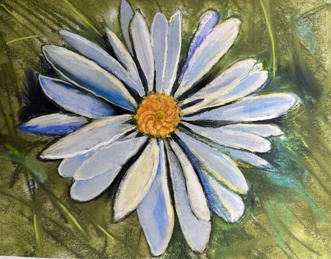 Daisy