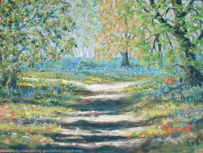 Forest Walk to the Bluebells (1045)