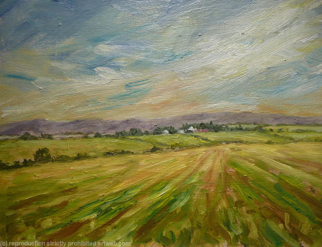 Yorkshire Walks (1110)