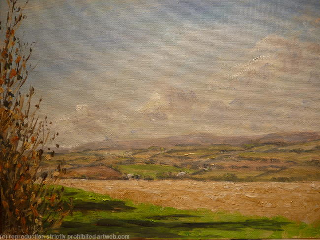 distant moors of North Yorkshire (1115)