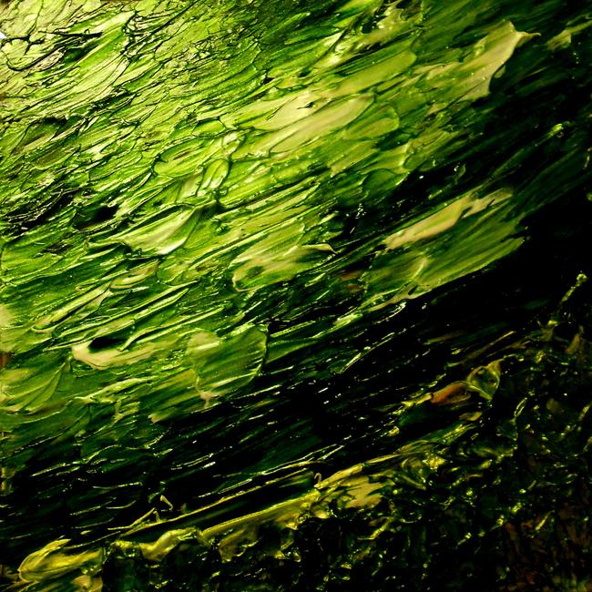 Emerald Sea