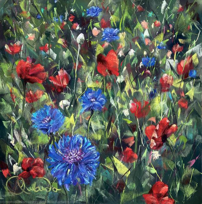 Cornflowers in a Poppy field