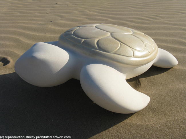 turtle