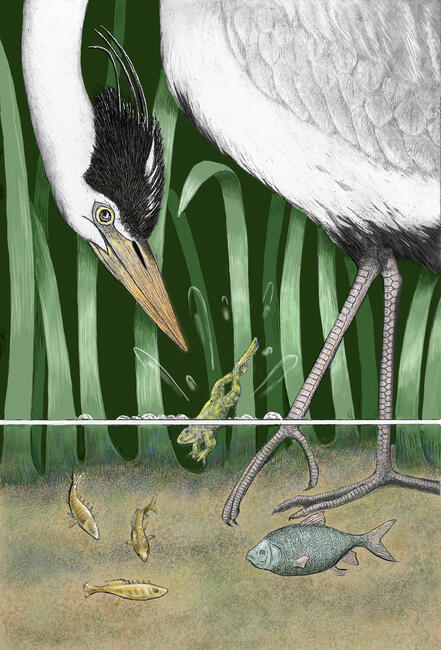 South Street, Churchill Hospital, Oxford