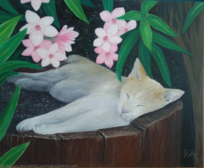 Afternoon Nap