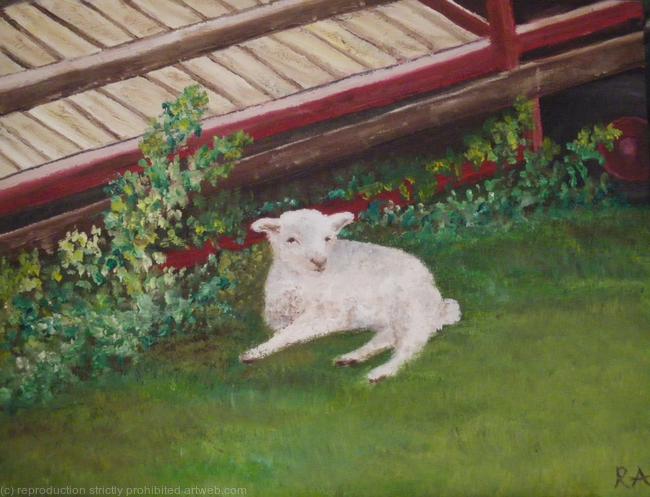 Resting Lamb