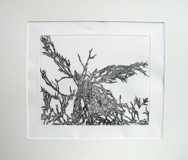 Krka Wood III, artists proof