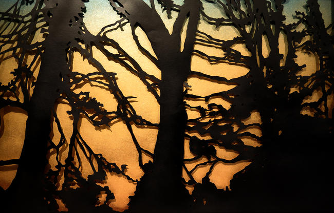 Arbres à côté de la route