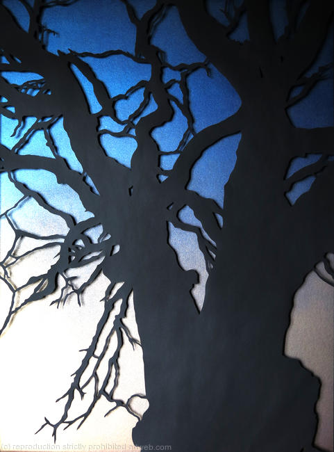 Arbre de Chêne au Texas (Briarwood Oak)