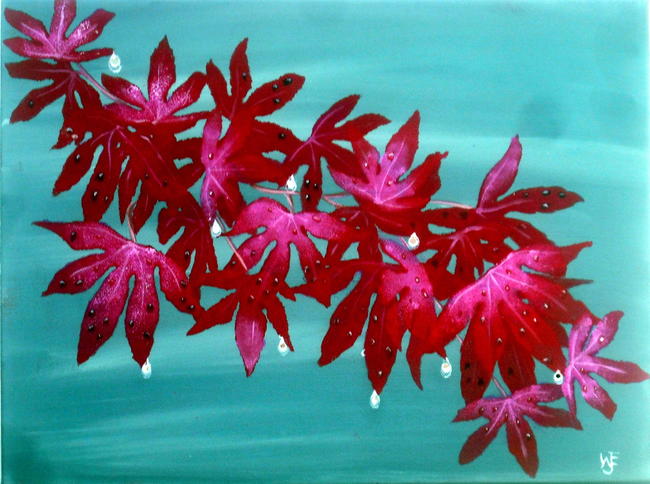 Rain drops on Acer