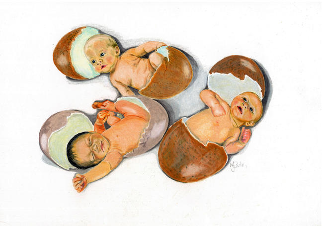 Hatchlings
