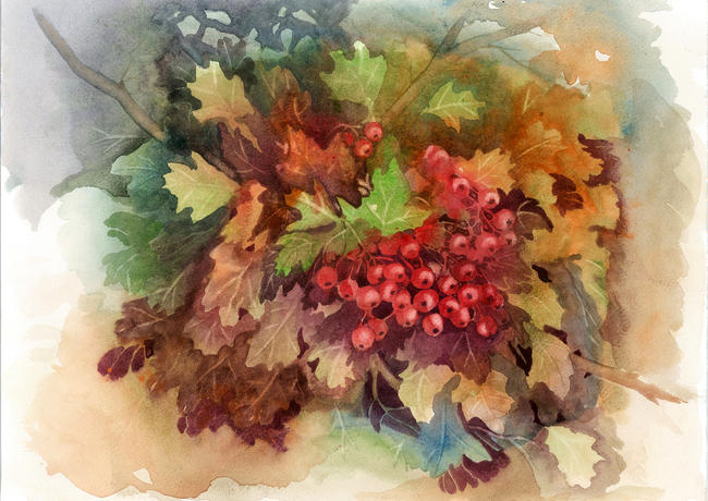 Berries