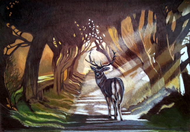 Stag