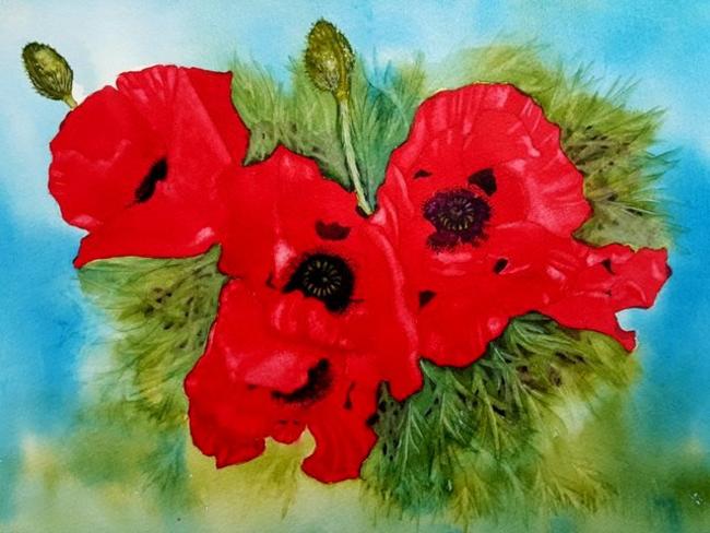 Poppies
