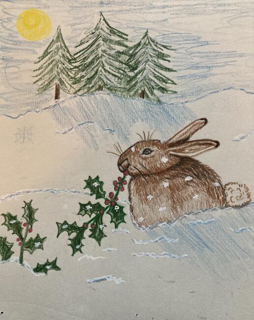 Bunny in the Snow Holiday Cards - 4pk