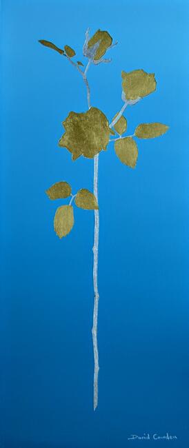 David and Marion's gold and silver Rose 2