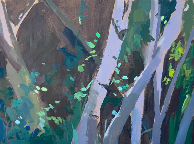 Branches