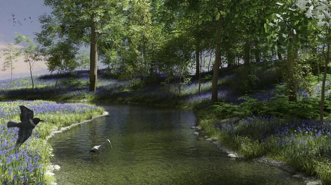 Life on Bluebell Creek