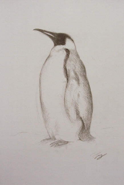 Penguin Study I