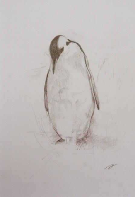 Penguin Study II