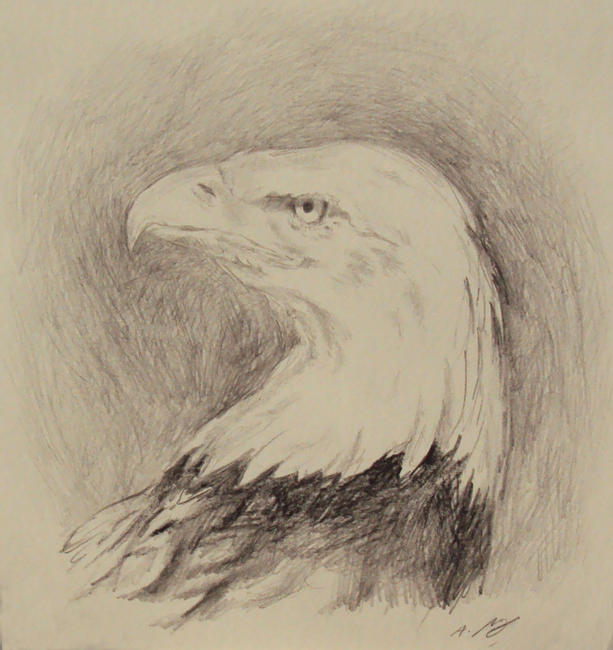Eagle Study I
