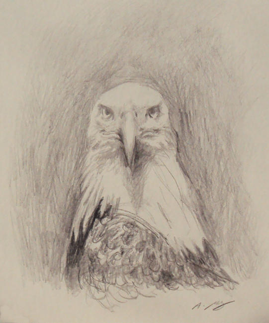 Eagle Study II