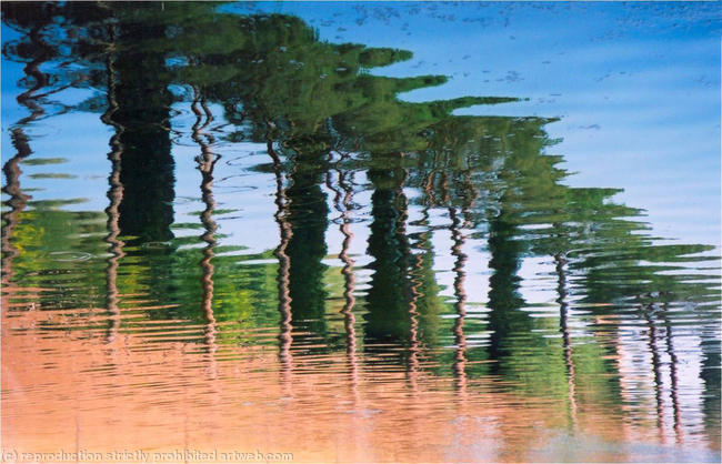 Roman Trees