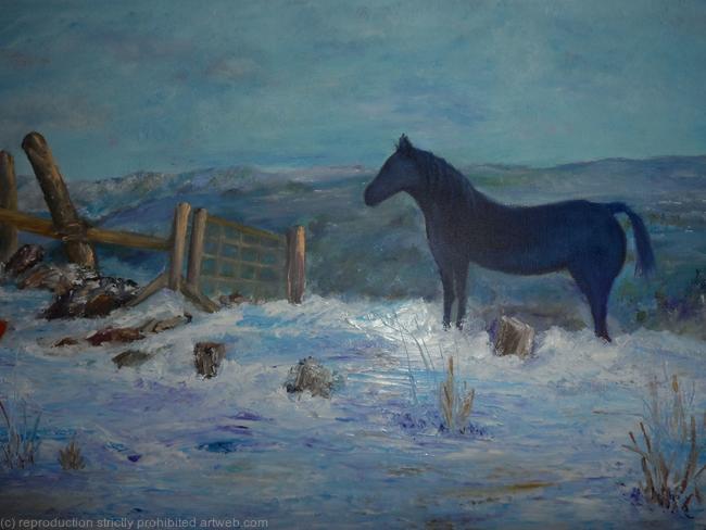 Snow on Dartmoor