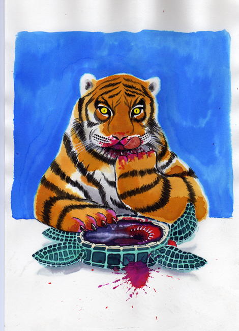 Tiger tasting turtle