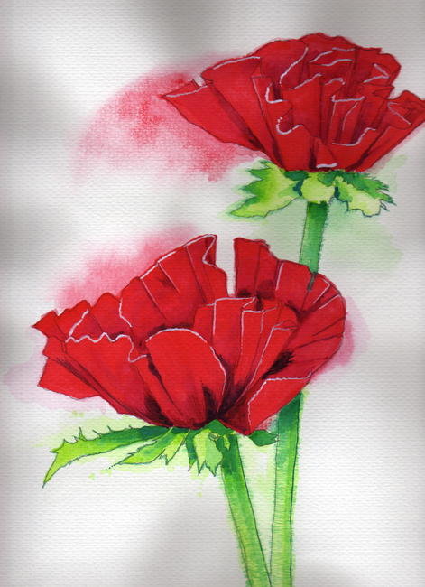 flowers 4