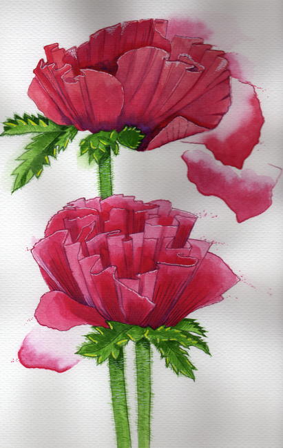 flowers 5