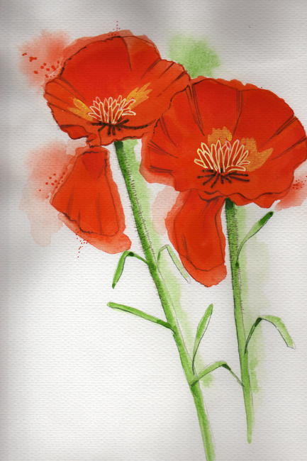 flowers 6