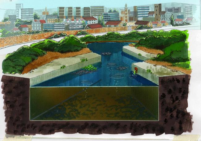 Polluted river