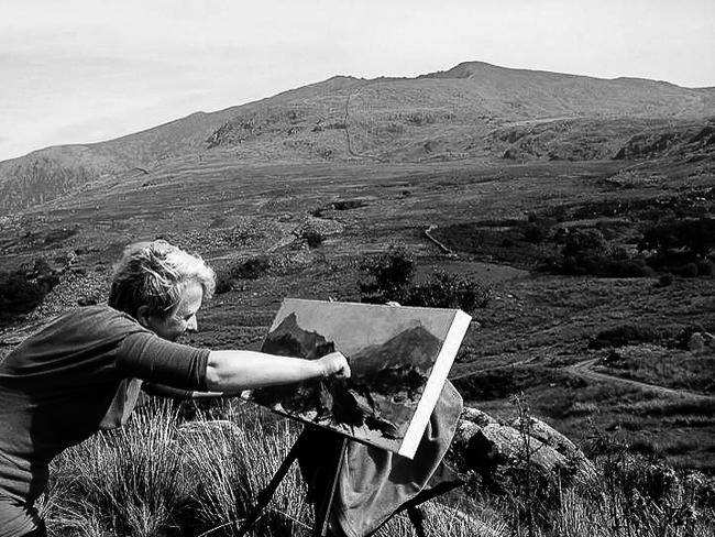 Plein Air Painter
