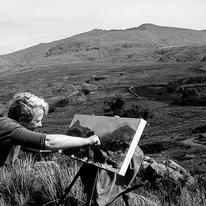 Plein Air Painter