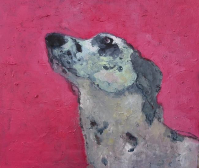 pink dog