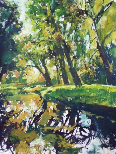 River Reflections 2