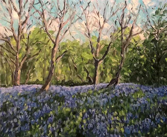 bluebell wood V