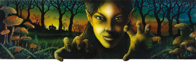 Artwork for the novel