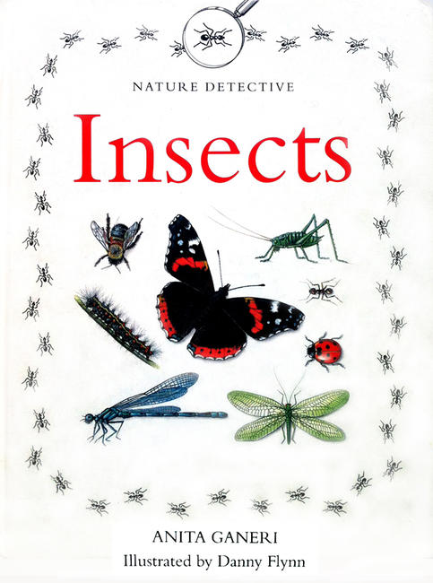 Insects