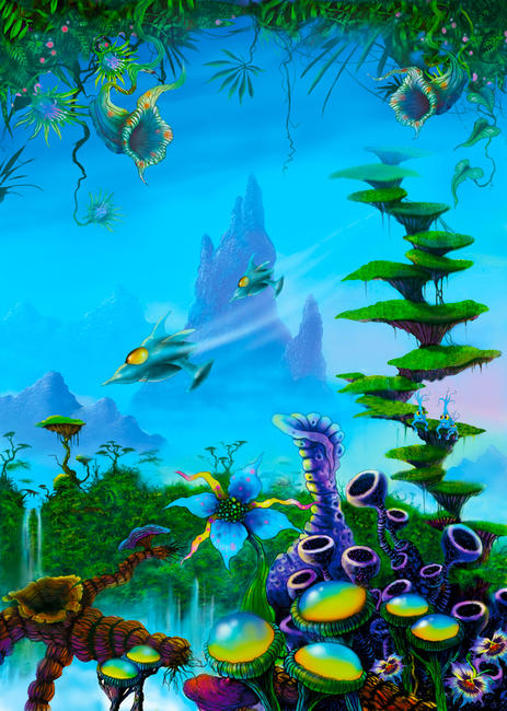Jurviokk Jungle