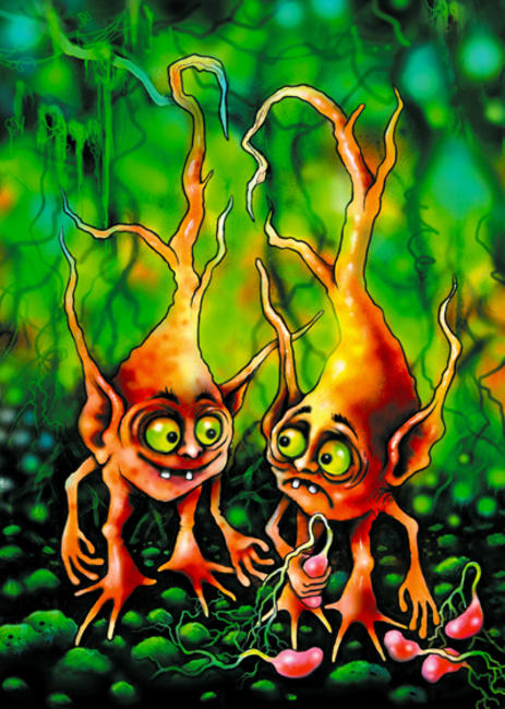TURZOLES