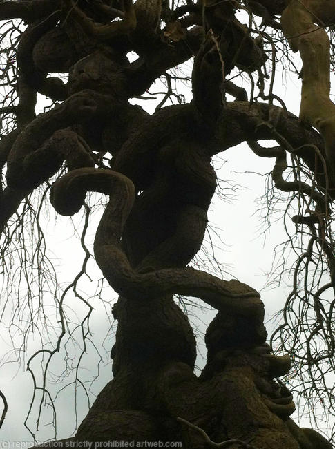Twisted Man