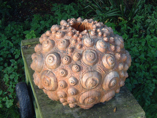 urchin